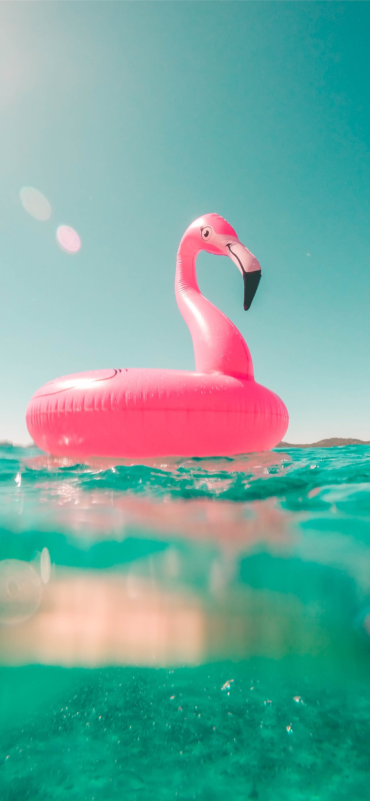 pink flamingo swim ring on body of water in summer iPhone 12 Wallpaper Free Download