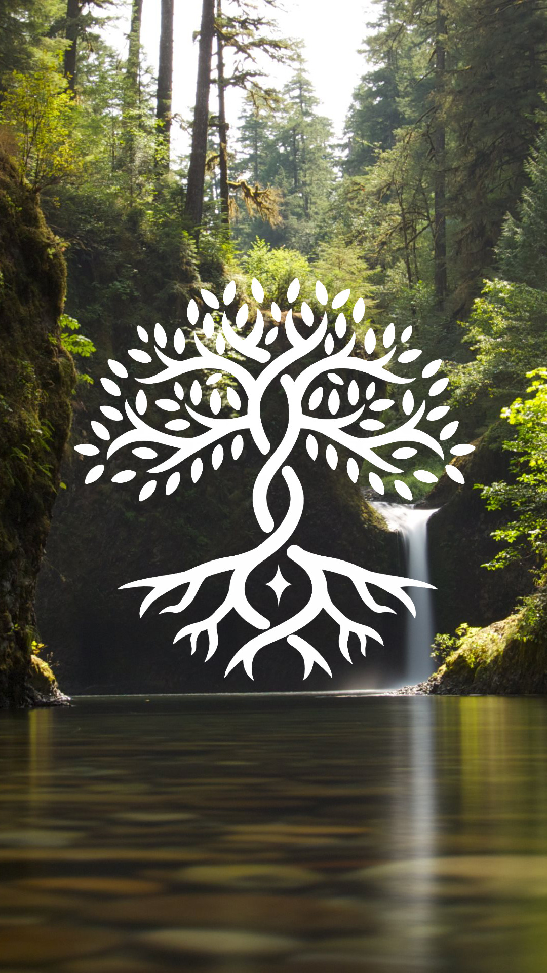 citah: In hearts wake phone wallpaper 1080x1920