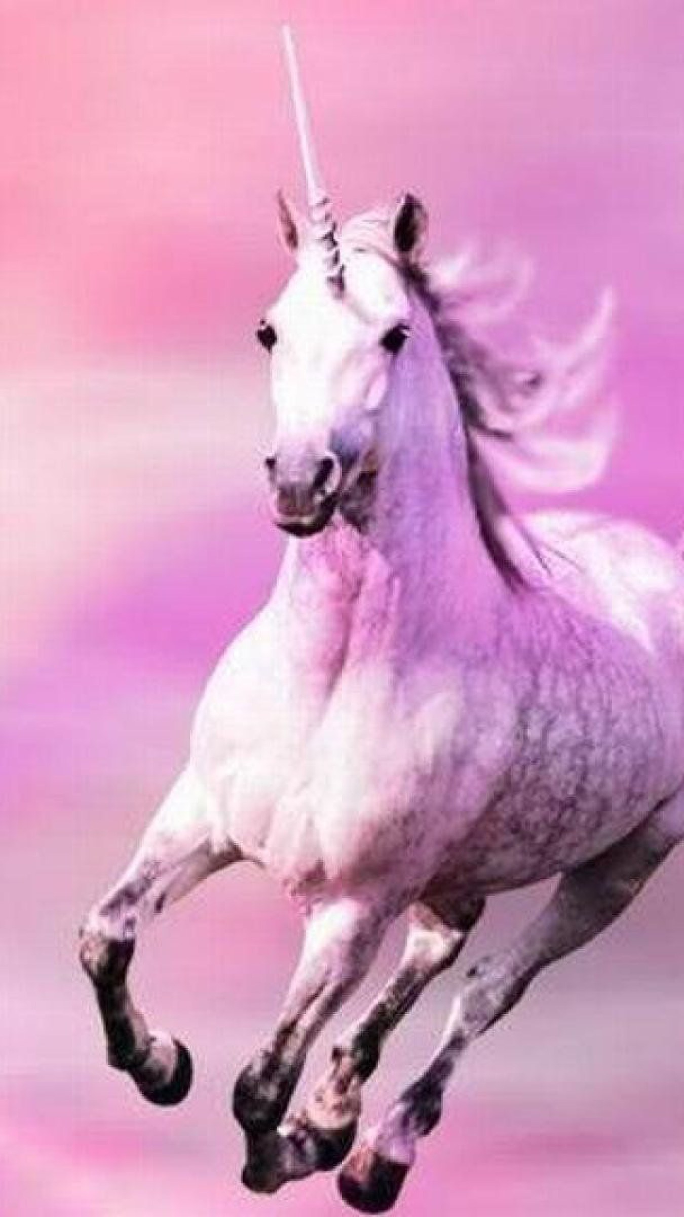 Unicorn Pink • Wallpaper For You