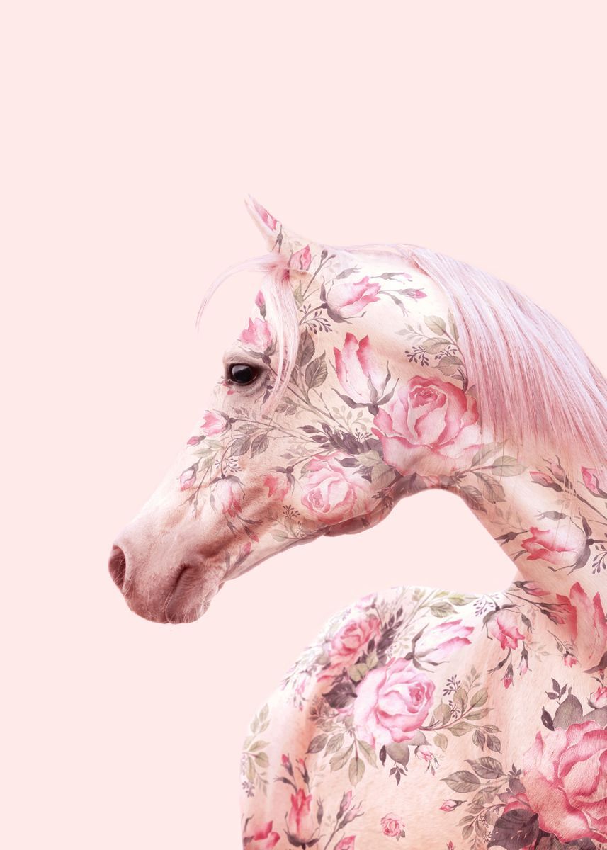 Pink Horse Wallpapers - Wallpaper Cave