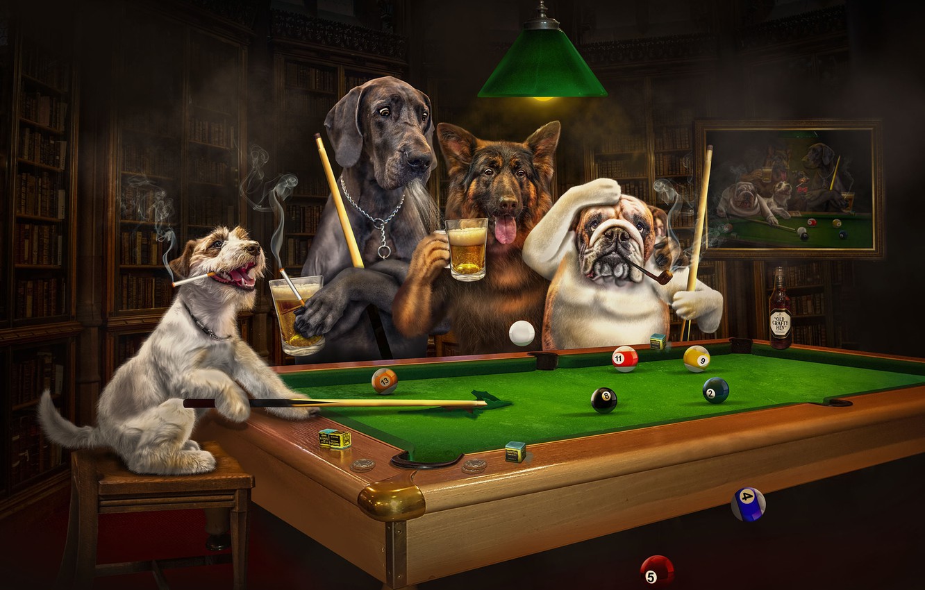 Wallpaper language, dogs, look, the dark background, rendering, table, stay, balls, the game, books, lamp, beer, dog, picture, club, Billiards image for desktop, section рендеринг