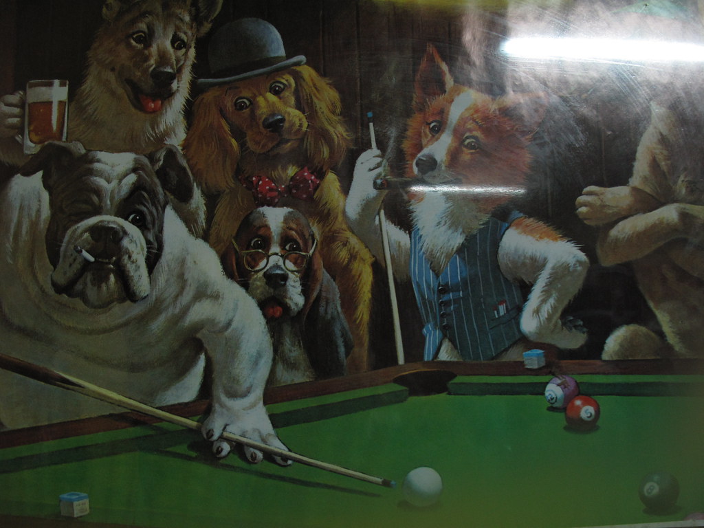 Dogs Playing pool, for Alex Delyle. Oof, it was like 445 an