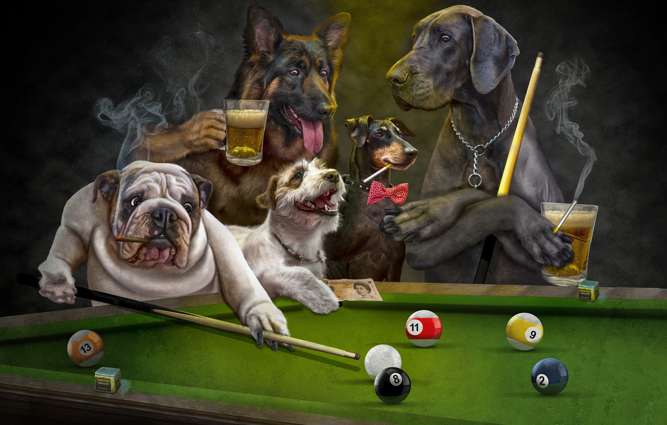 Wallpaper language, dogs, look, the dark background, rendering, table, stay, balls, the game, beer, dog, club, Billiards, art, mugs, chain image for desktop, section рендеринг
