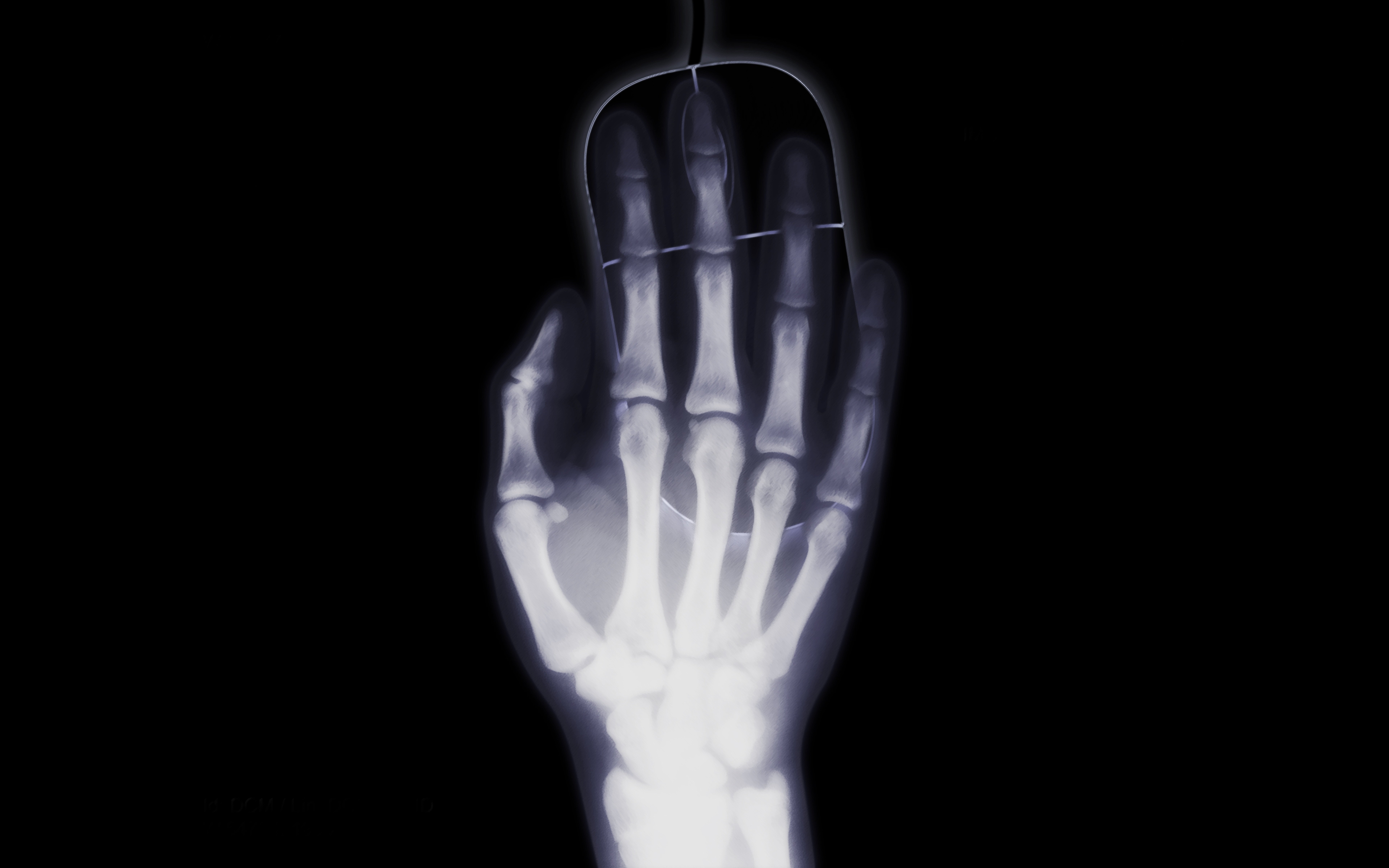 X Ray Wallpaper HD For Desktop Background