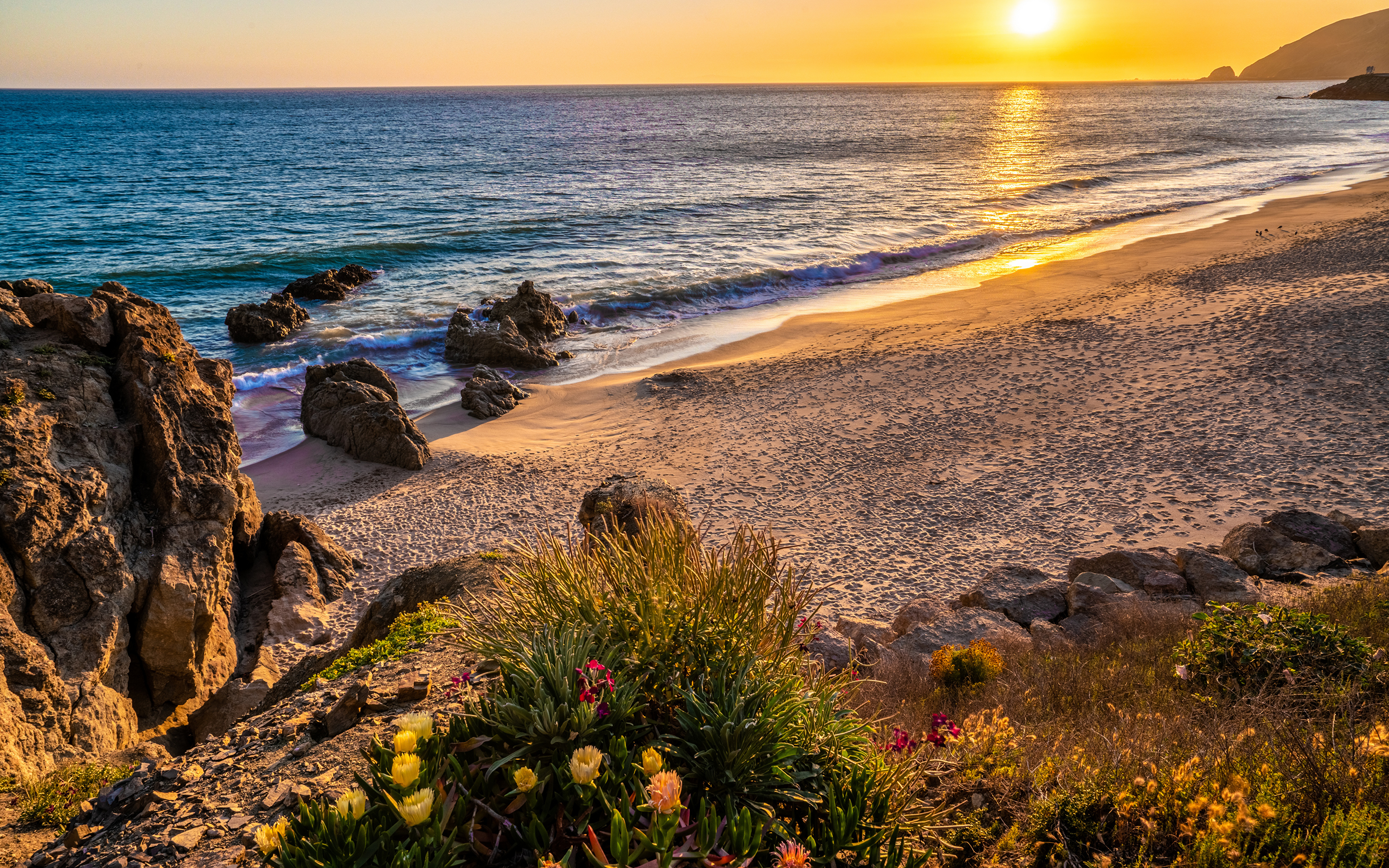 Image California USA Malibu Beach Footprints Nature 3840x2400