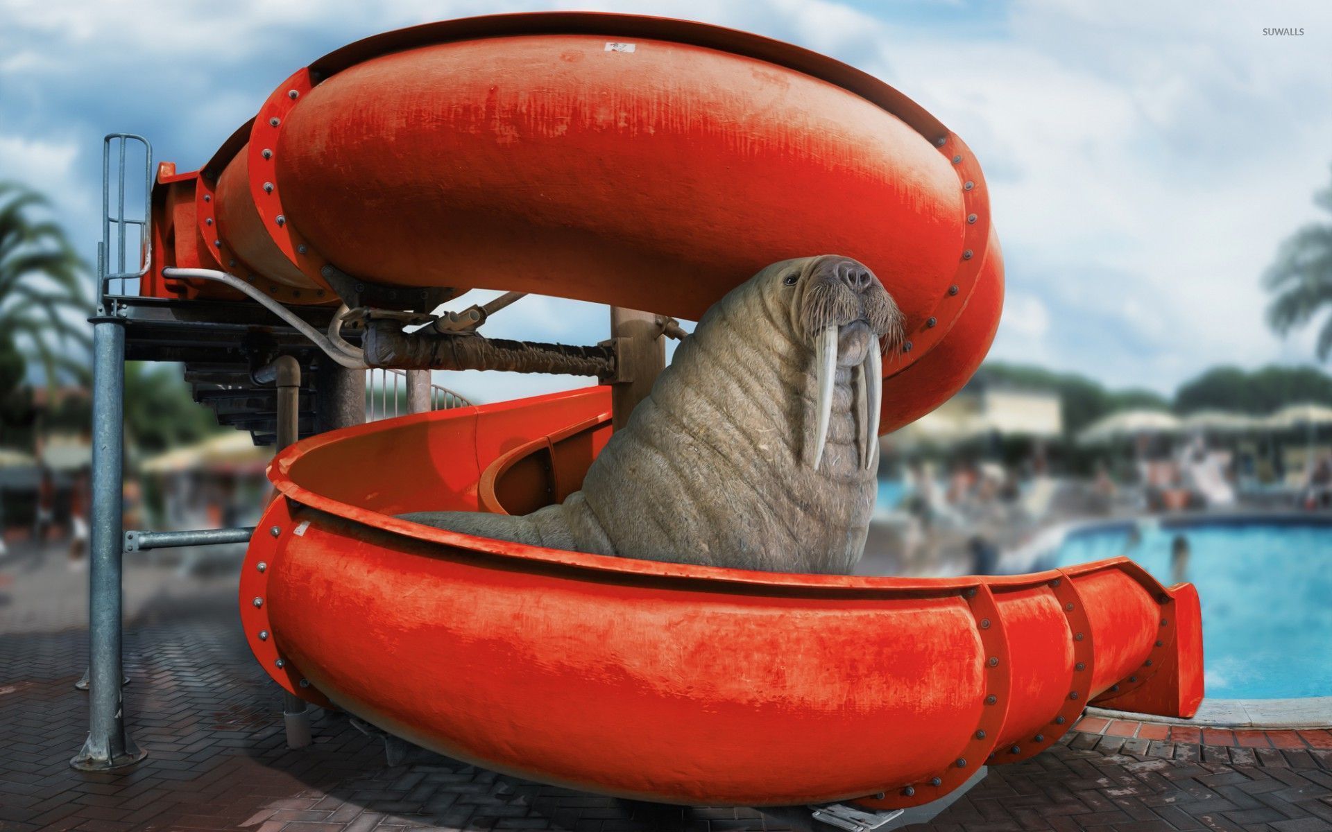 Water Slide Wallpapers - Wallpaper Cave