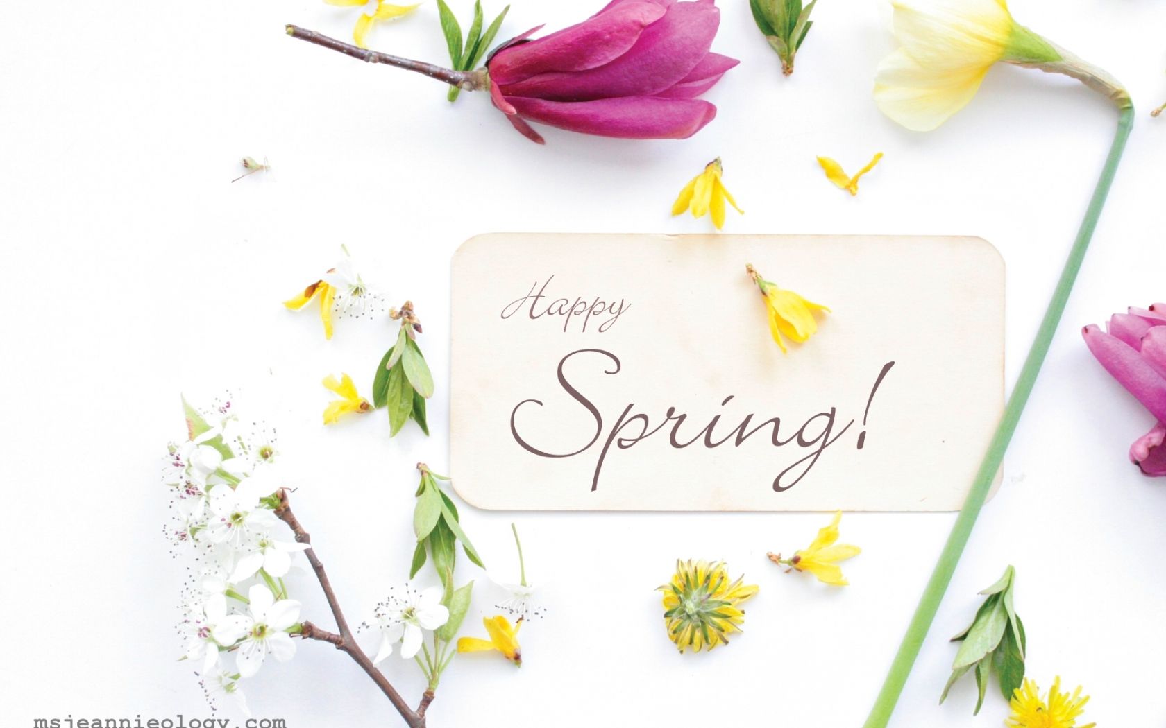 free happy spring wallpaper