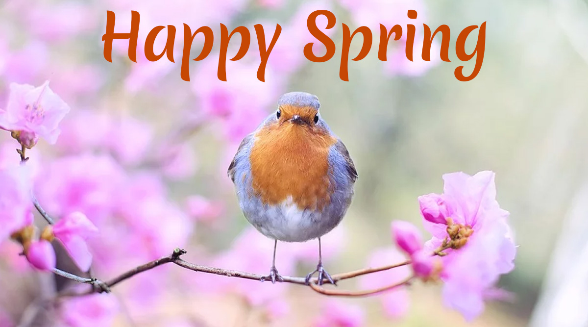 Happy Spring 2020 Wishes & Image! Twitterati Shares Beautiful Pics, Greetings, and Messages on the Onset of Spring Season