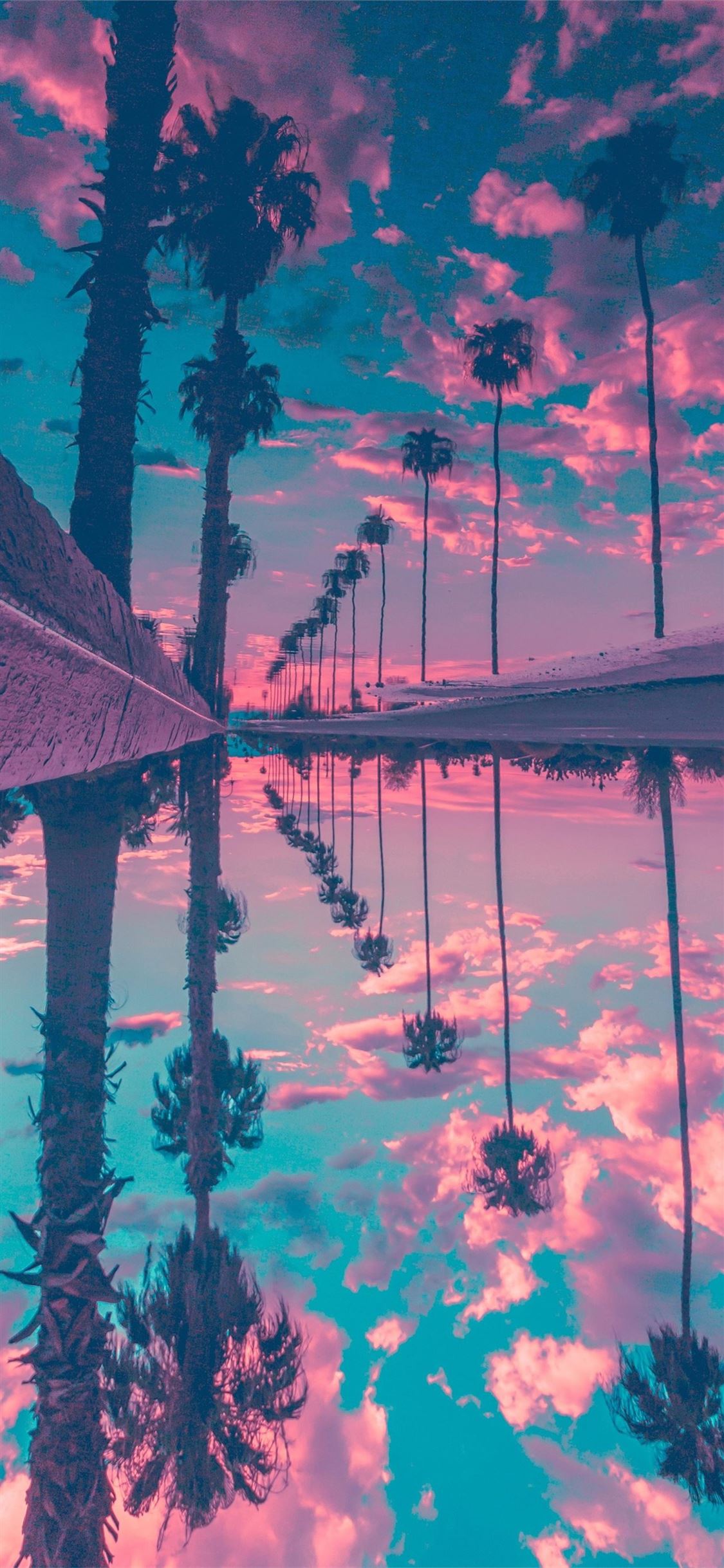 palm trees reflection sky iPhone X Wallpaper Free Download