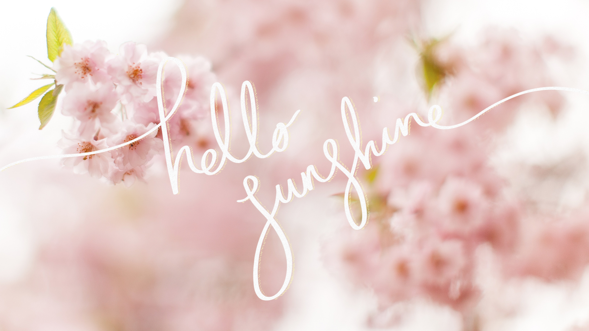 Sunshine Wallpaper for Computer