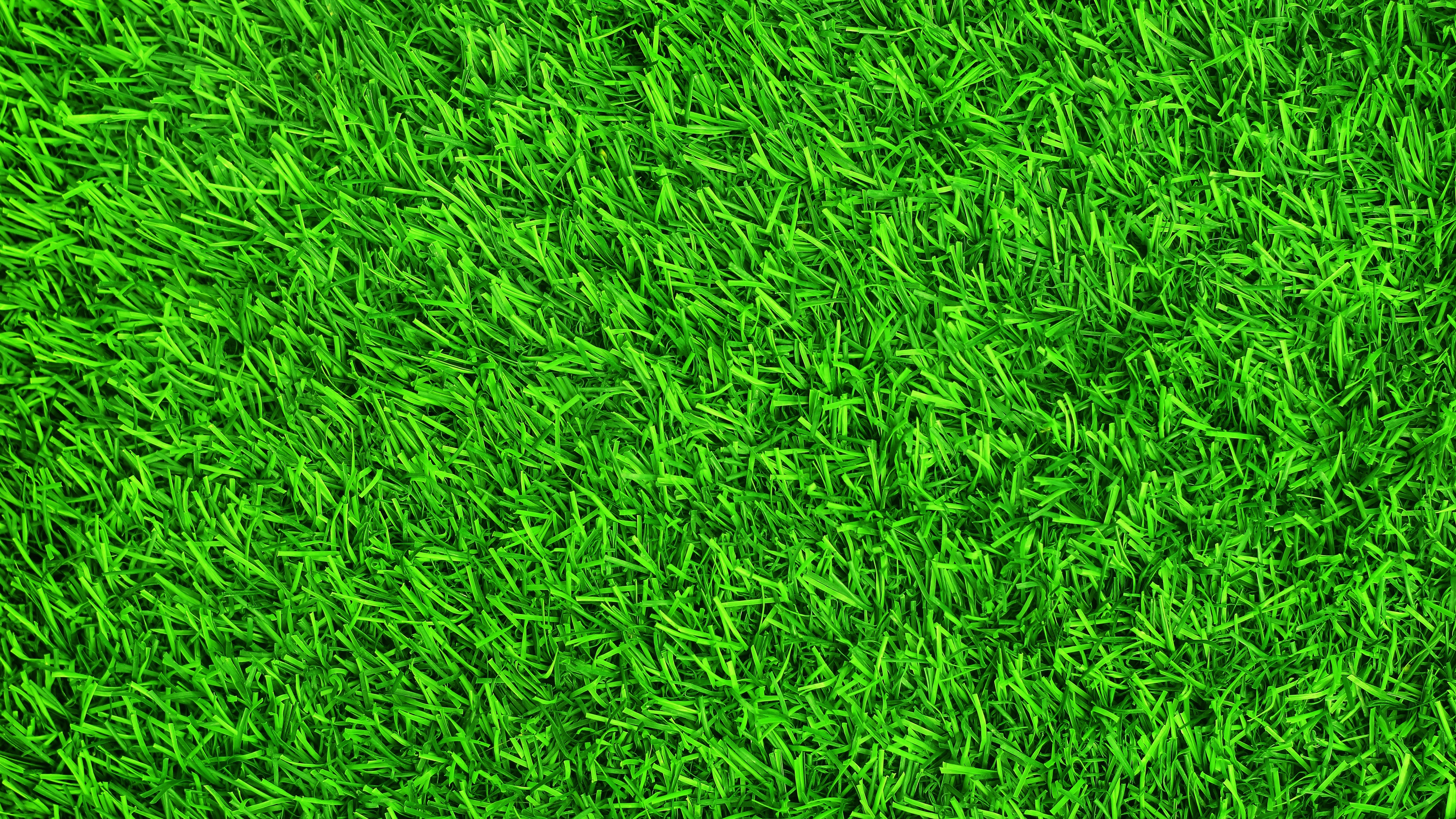 Wallpaper Green grass, meadow, summer 5120x2880 UHD 5K Picture, Image