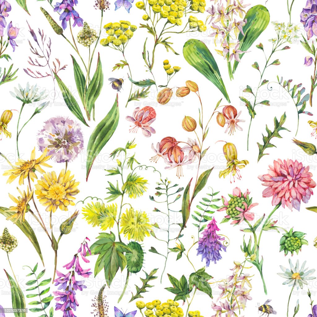 Watercolor Summer Flowers Wallpapers - Wallpaper Cave