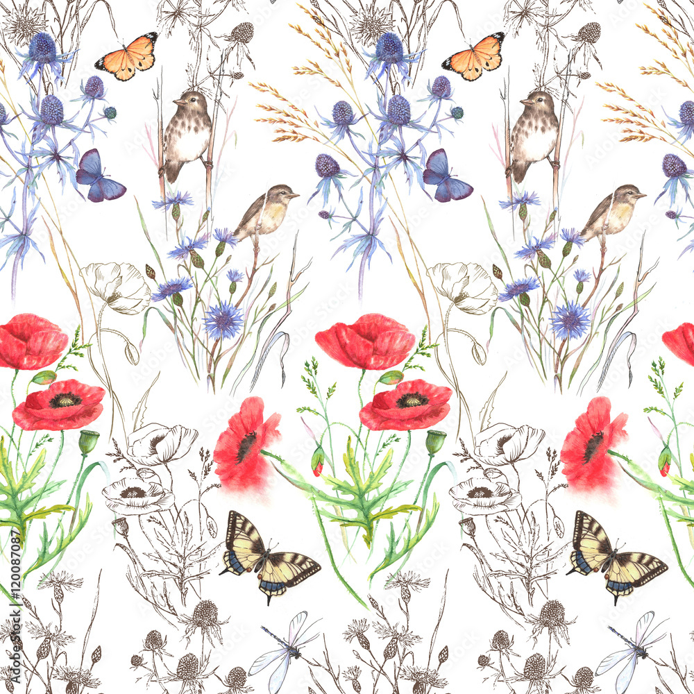 Hand Drawn Watercolor Floral Seamless Pattern. Summer Meadow Flowers, Cornflowers, Grass, Feverweed, Butterflies And Birds On The White Background, Repeated Pattern For Textile, Wallpaper. Stock Illustration