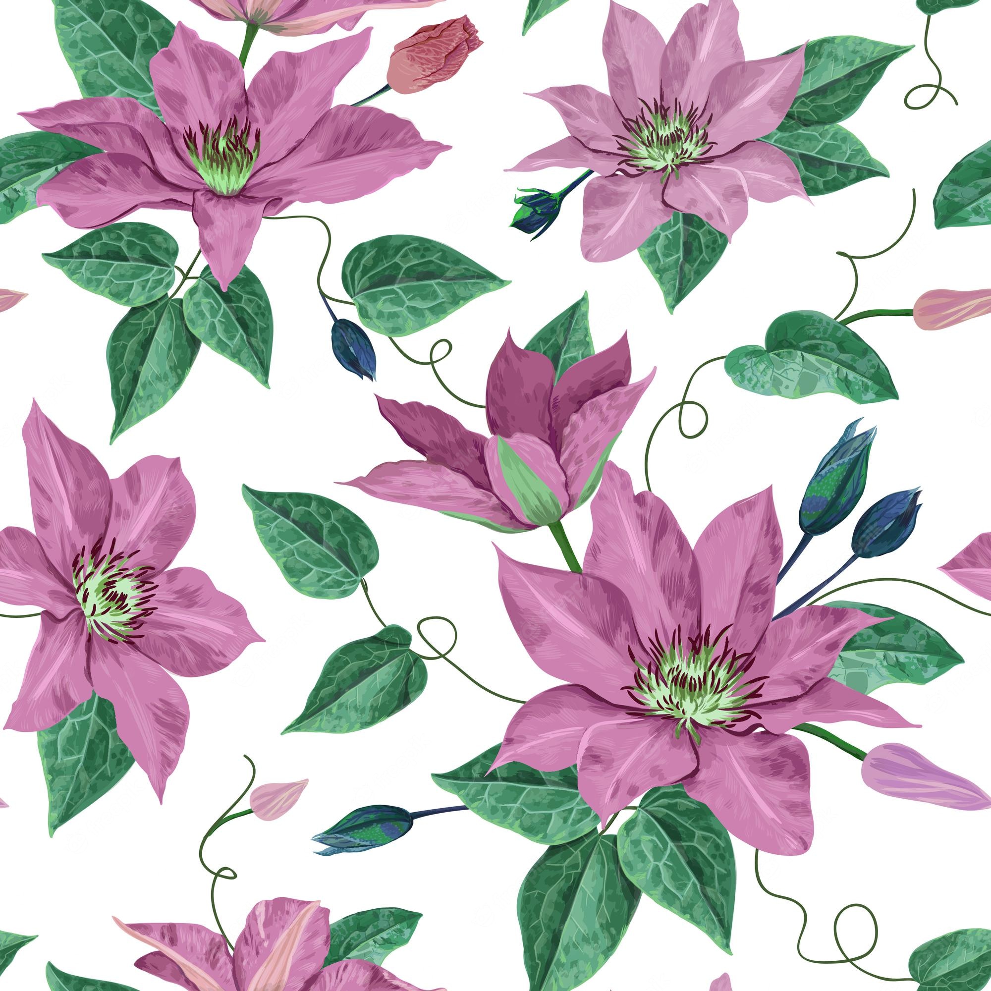 Premium Vector. Watercolor clematis flowers. floral tropical seamless pattern for wallpaper, print, fabric, textile. summer background with blooming purple flowers. vector illustration