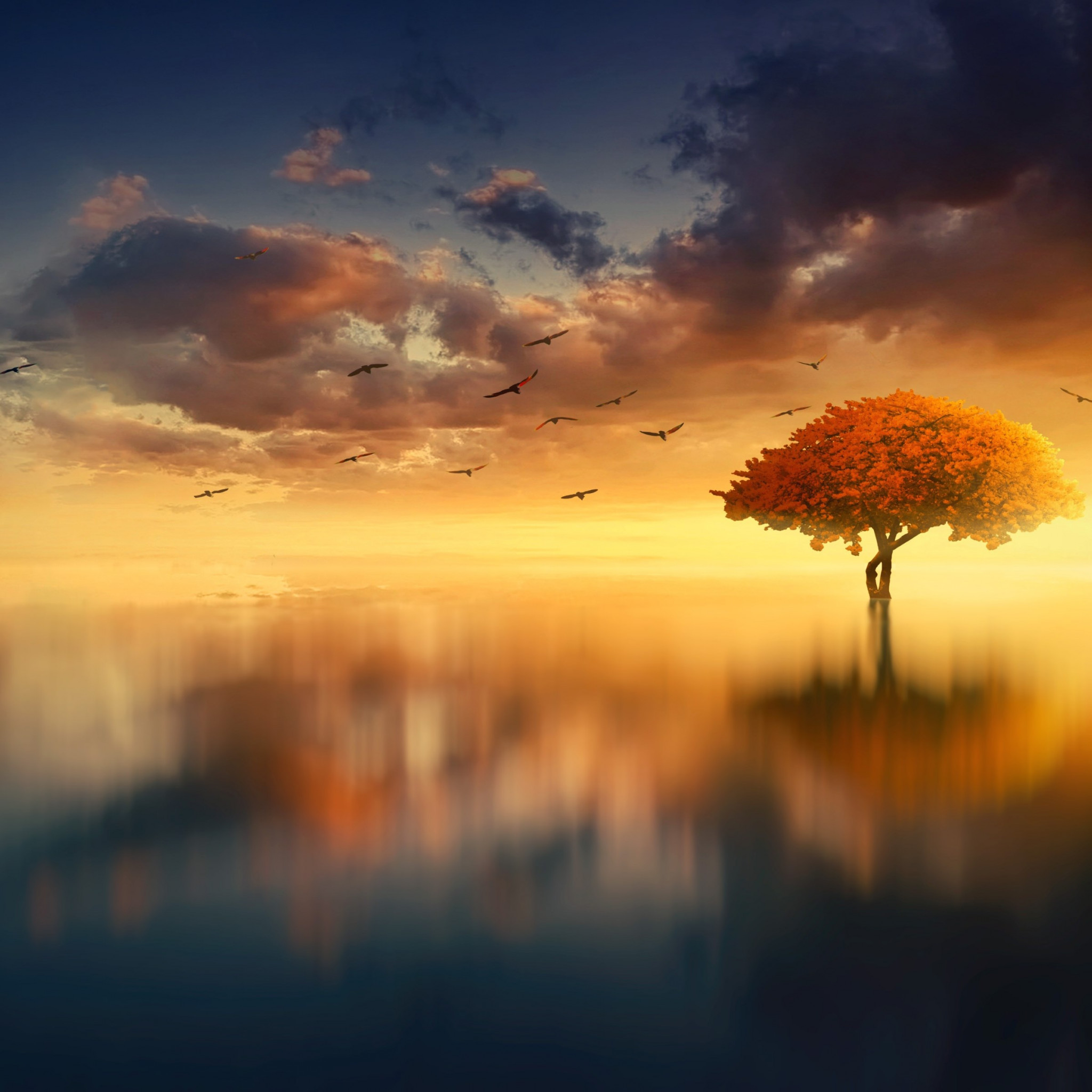 Download wallpaper: Dreaming summer 2048x2048