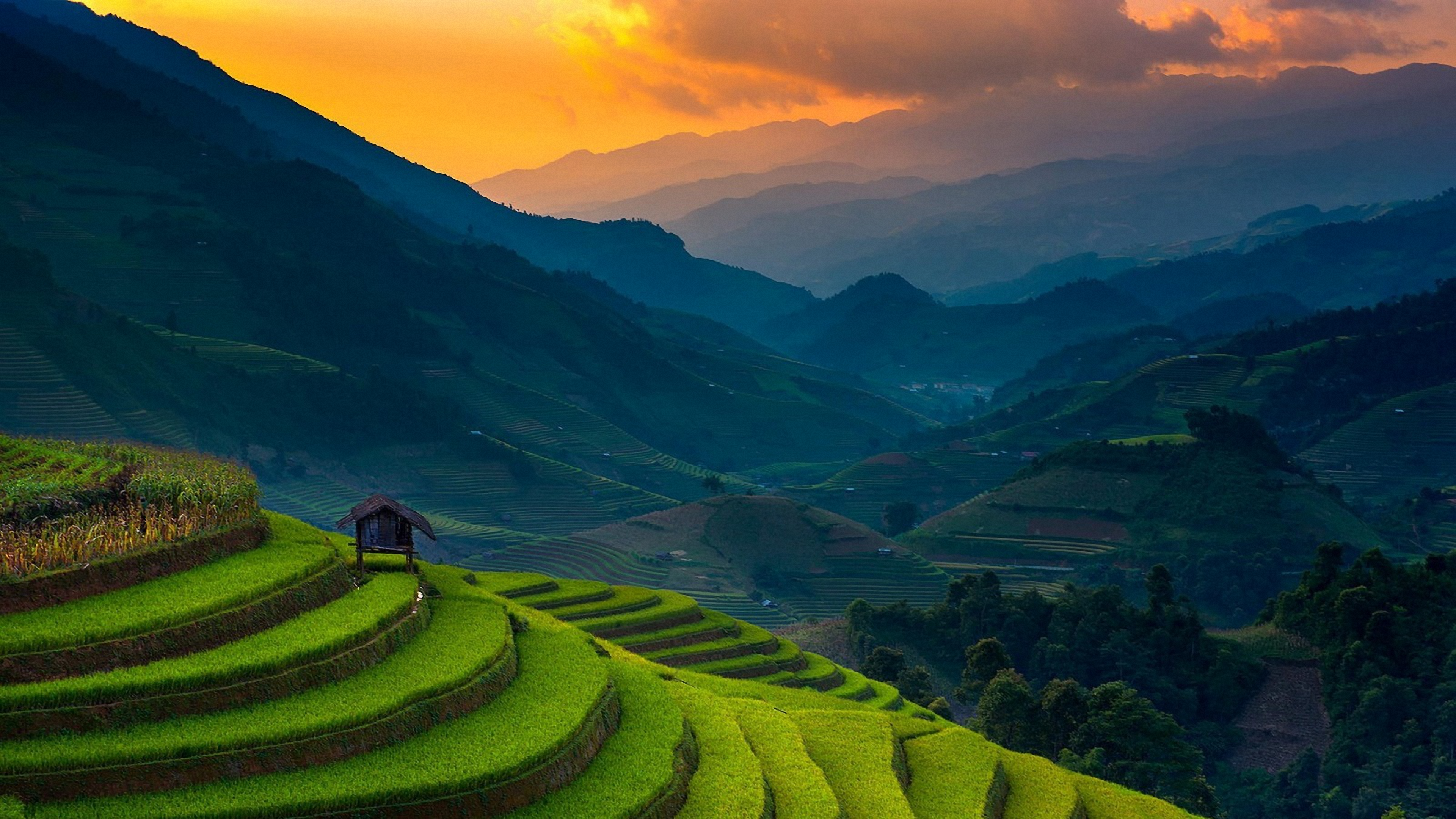 Banaue Rice Terraces, Philippines · Free