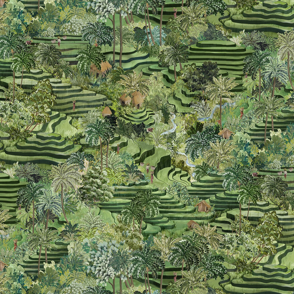 Rice Terrace Max by Brand McKenzie Green, Wallpaper Direct
