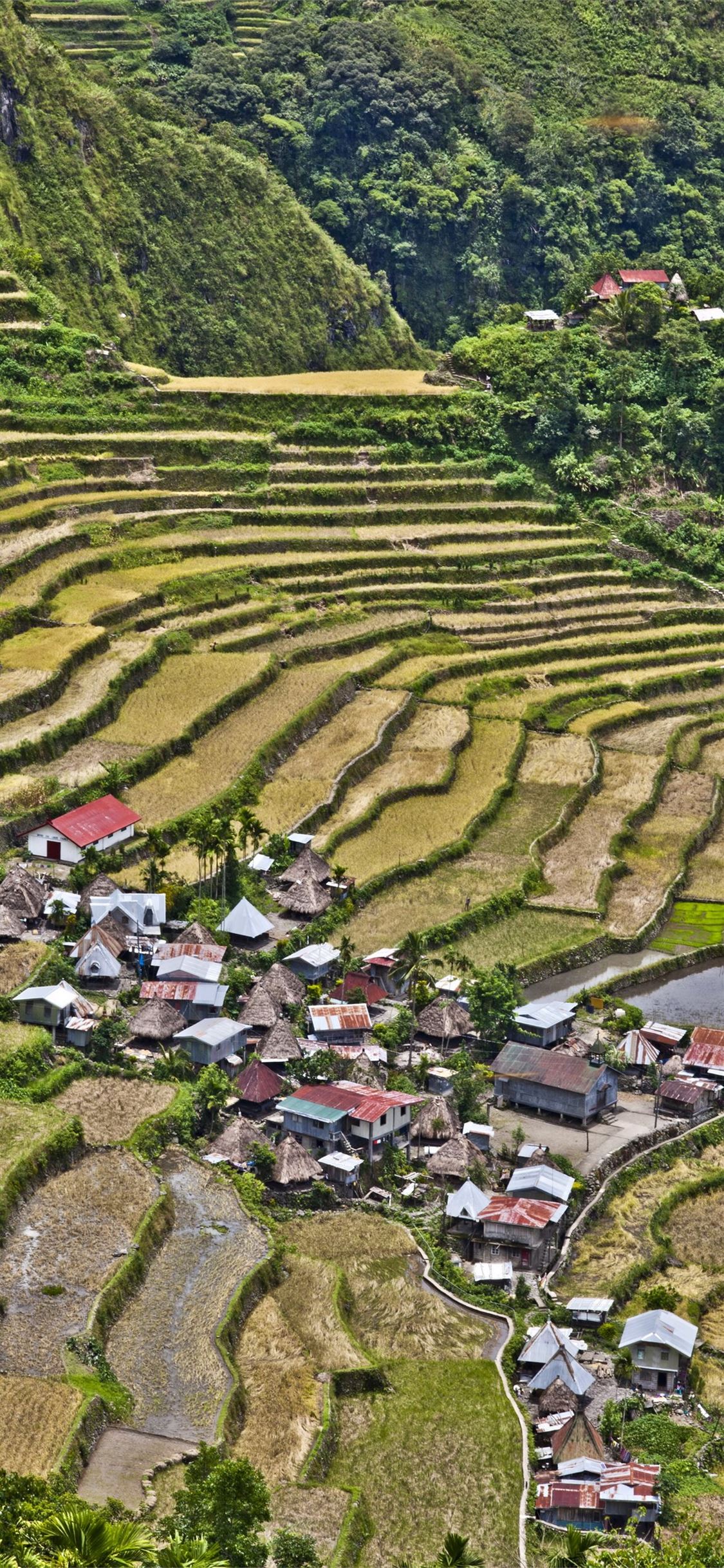 Rice Terraces of Vietnam iPhone 11 Wallpaper Free Download