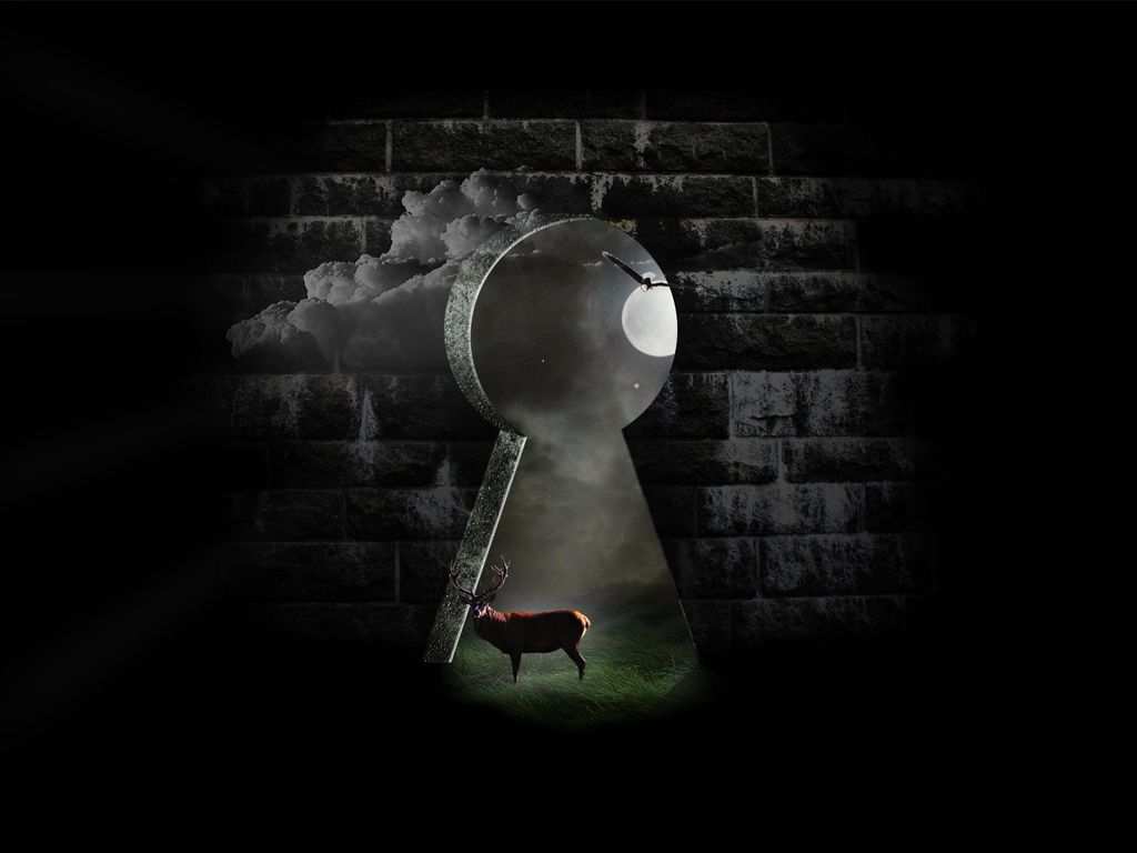 Keyhole Wallpaper