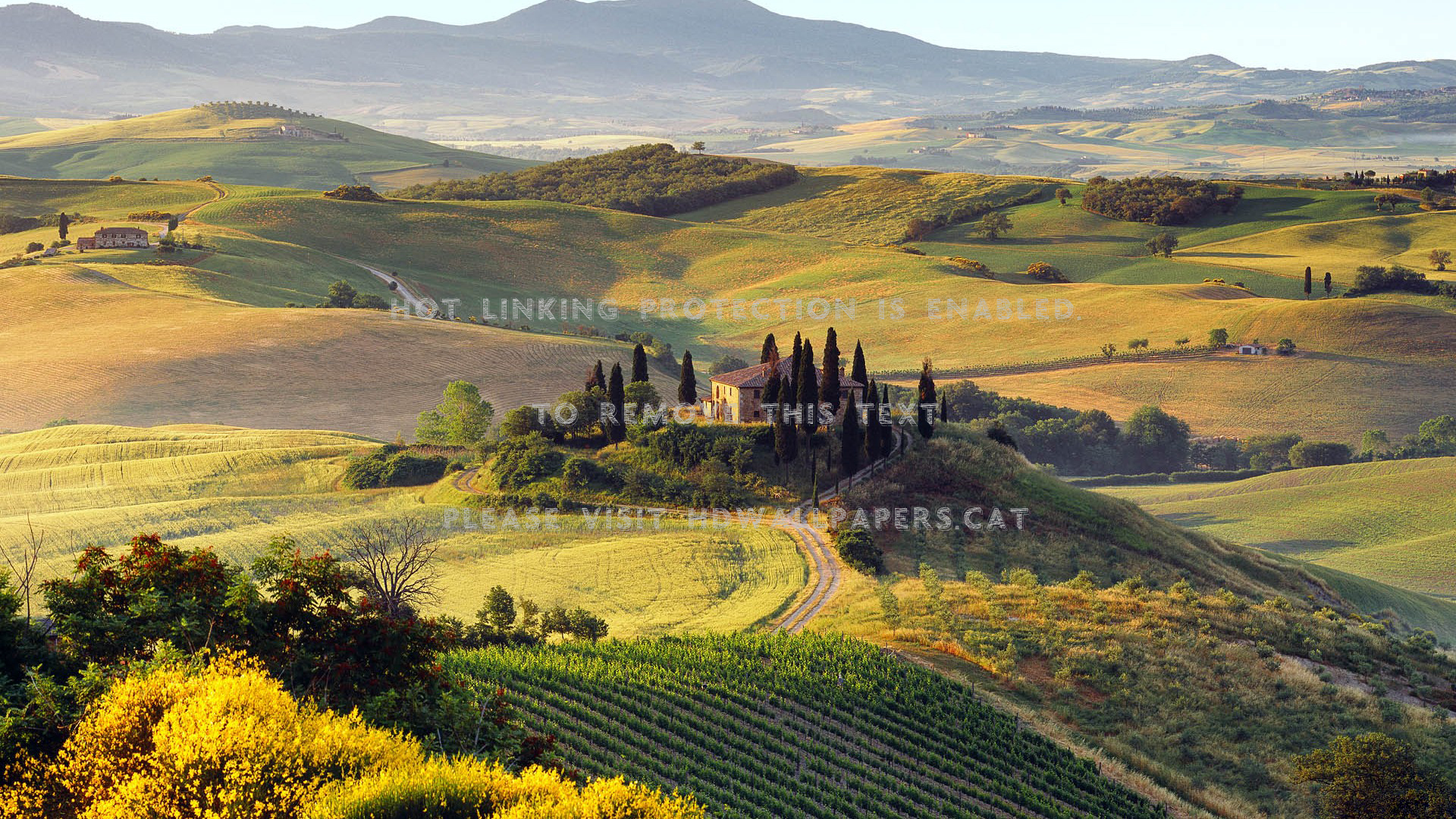 tuscan summer hills valley mountains nature