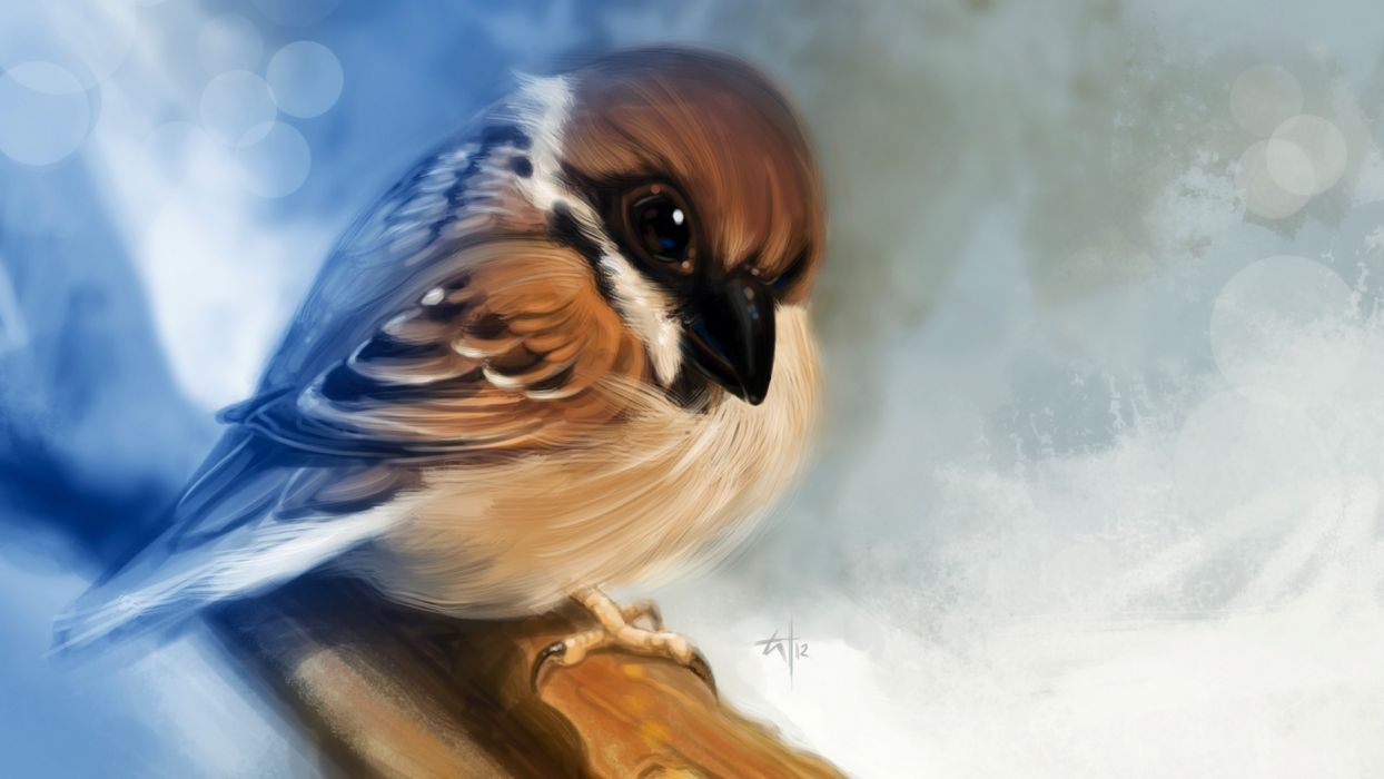 Bird Drawing wallpaperx1080