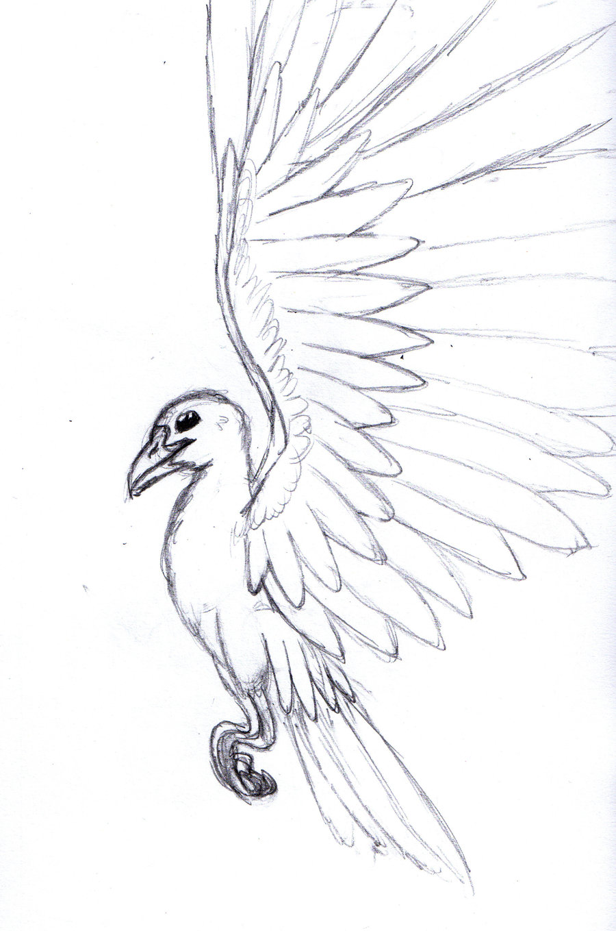 Free Flying Bird Drawing, Download Free Flying Bird Drawing png image, Free ClipArts on Clipart Library