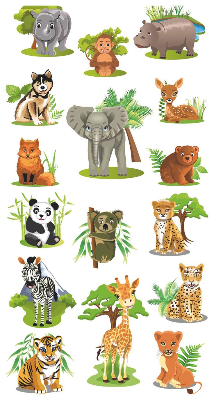 Cartoon animals vector. Animal picture for kids, Cartoon animals, Animals image