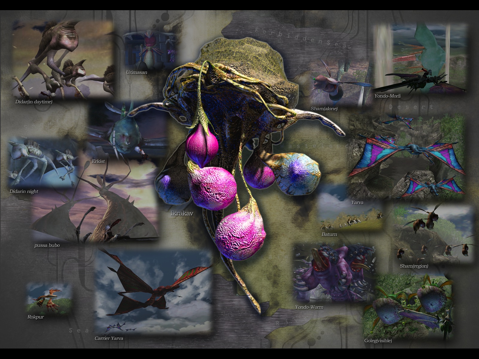 Panzer Dragoon Legacy Panzer Dragoon Orta was first released, the official website had a set of wallpaper available for download. Unfortunately the website is gone now, but you can