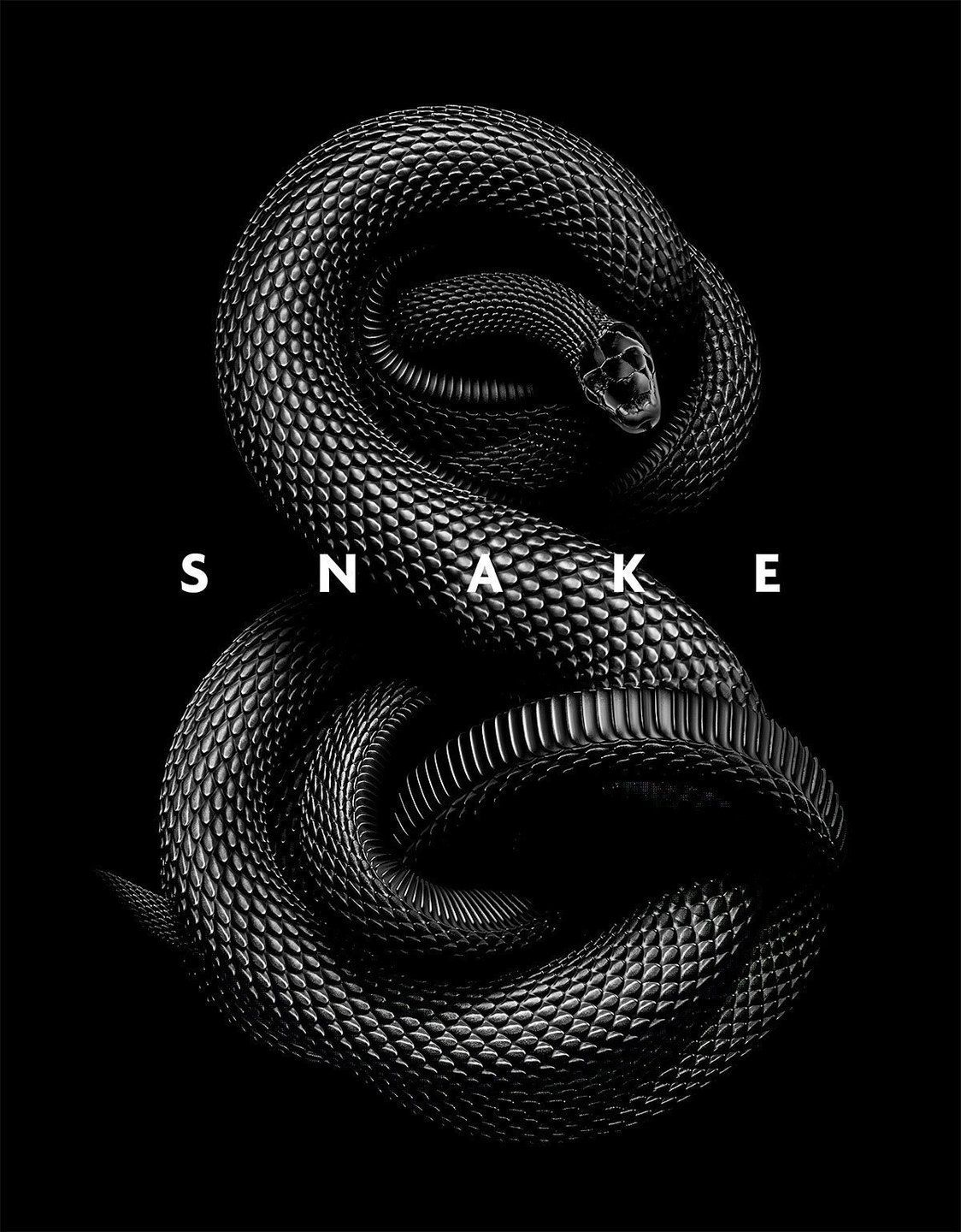 Snake Tattoo Wallpaper Free Snake Tattoo Background