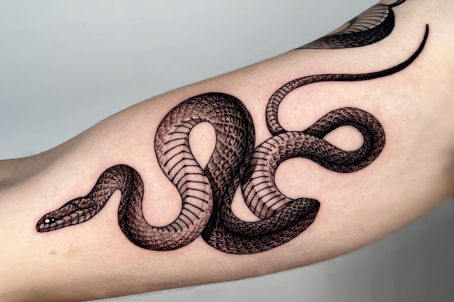 Impressive Snake Tattoos 2022
