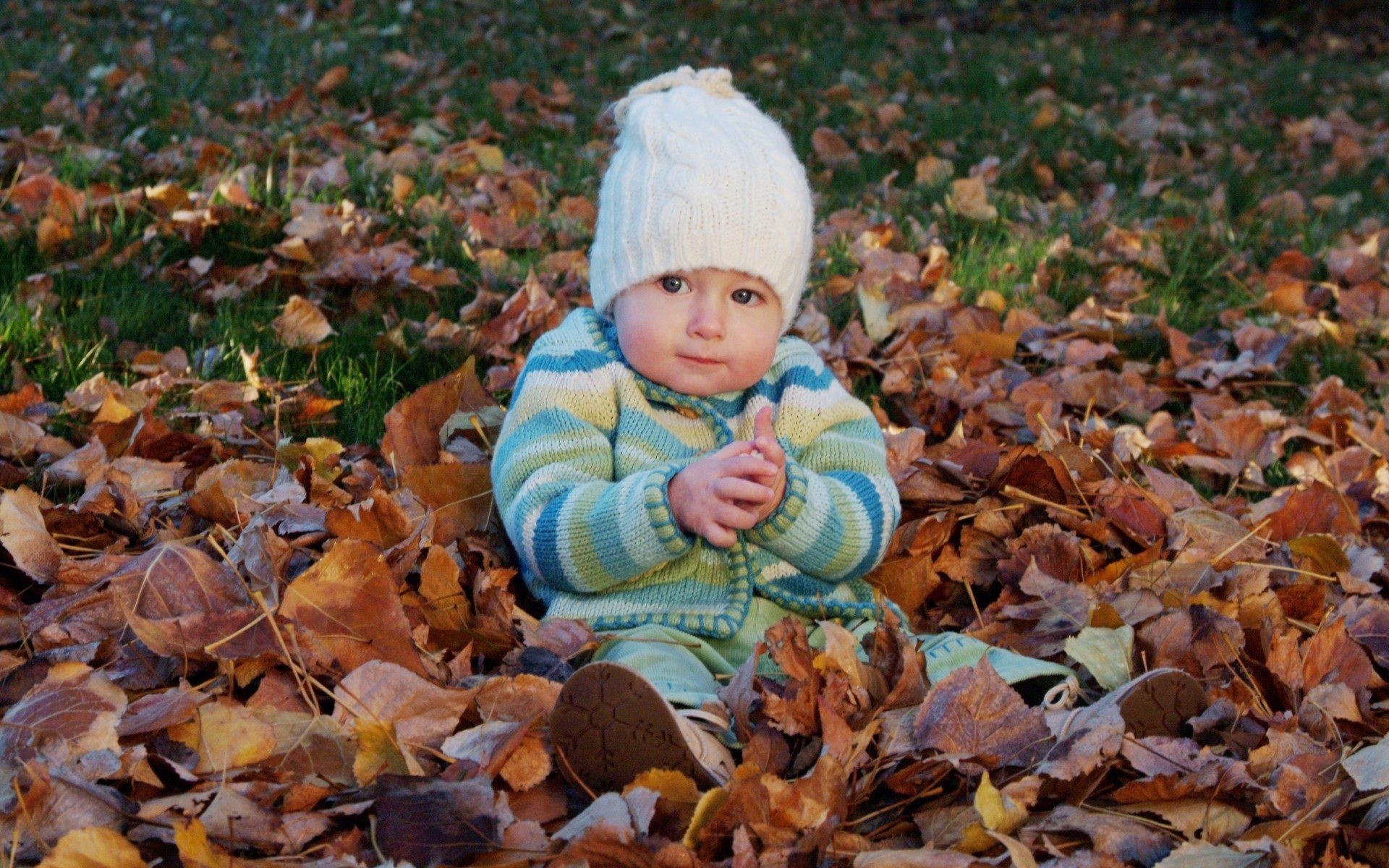 cute baby girl wallpaper, child, leaf, toddler, autumn, baby, photography, sitting, plant