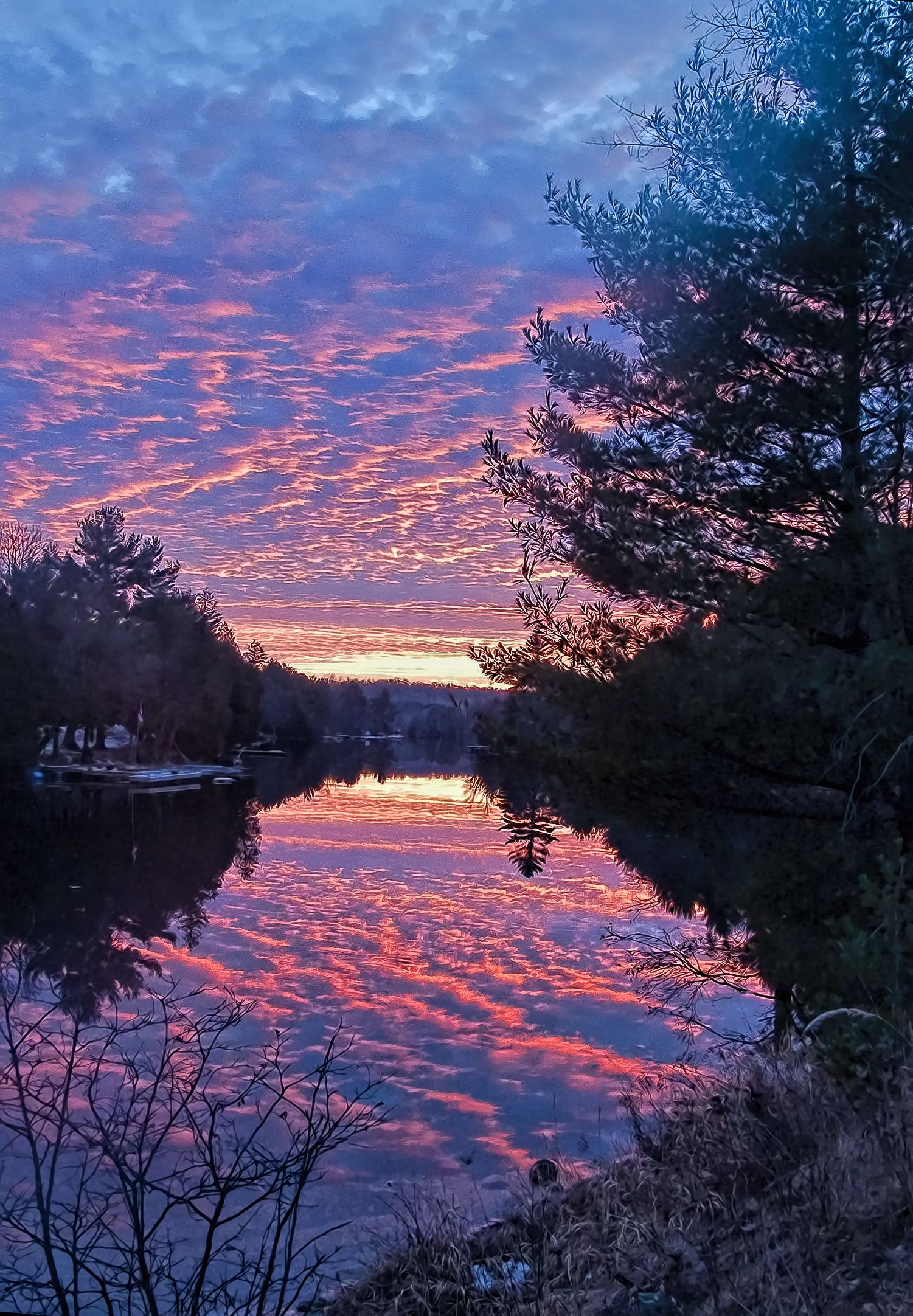 Ontario (Muskoka) Creative. Muskoka, Sunset photo, Sunflower wallpaper