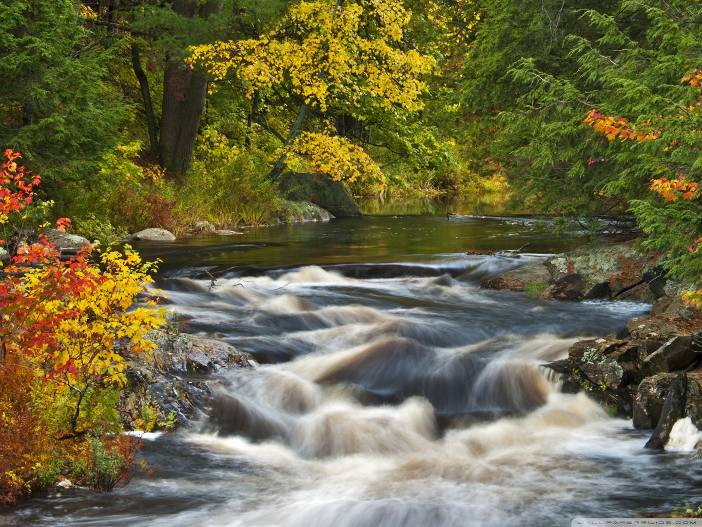 Roseau River, Muskoka Region, Ontario Ultra HD Desktop Background Wallpaper for 4K UHD TV, Widescreen & UltraWide Desktop & Laptop, Tablet