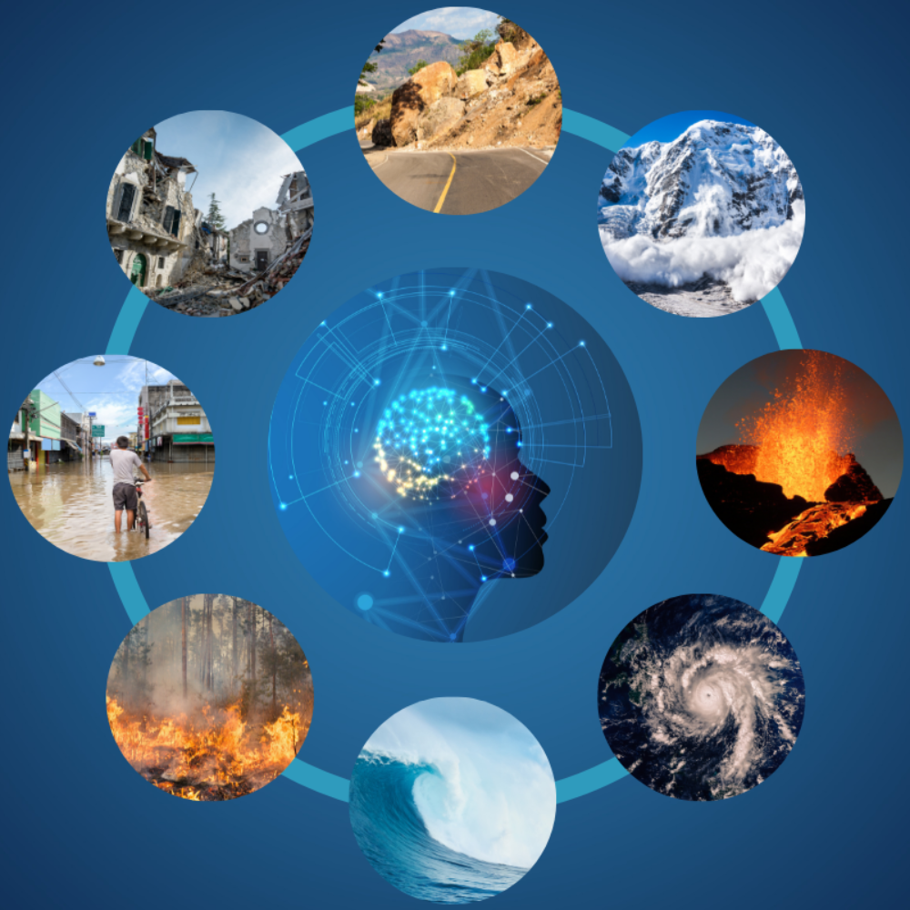 Natural Hazards. Artificial intelligence for disaster management: that's how we stand