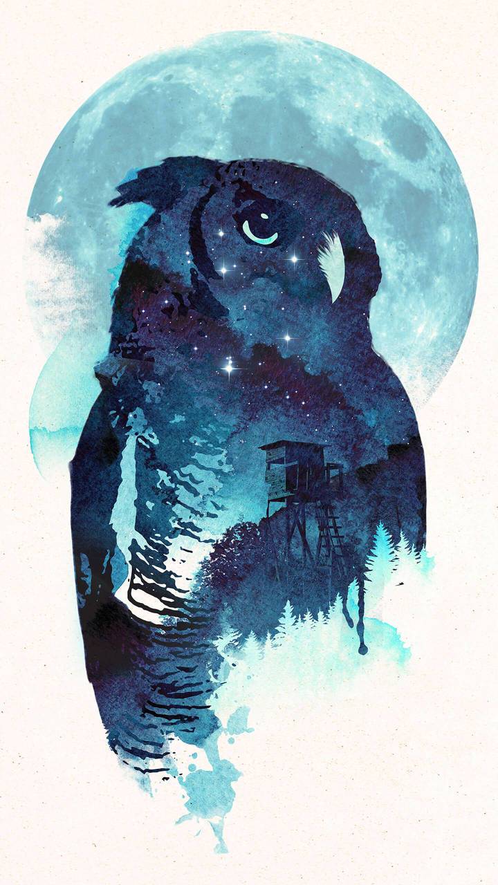 Blue Owl Wallpaper Free Blue Owl Background