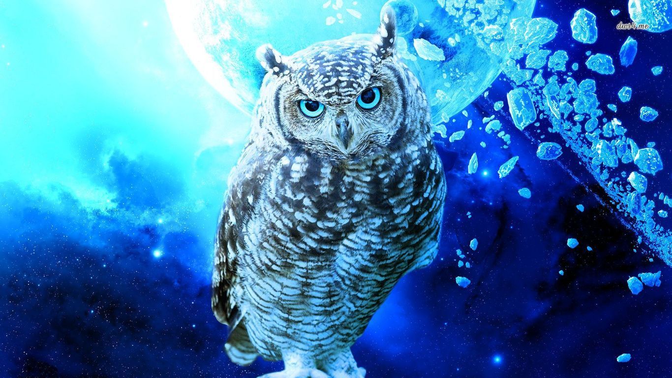 Blue Owl Desktop Wallpaper