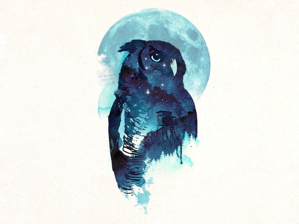 Wallpaper Owl, Midnight, Robert Farkas • Wallpaper For You