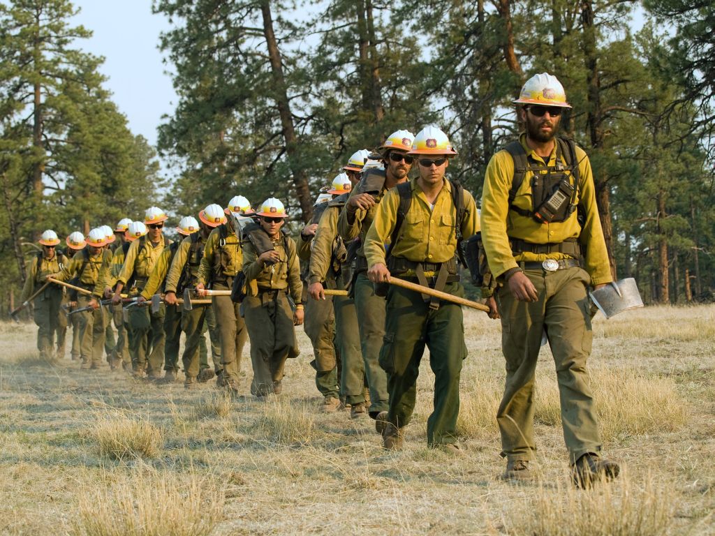 Smokejumpers & Hotshot Crews. US Forest Service