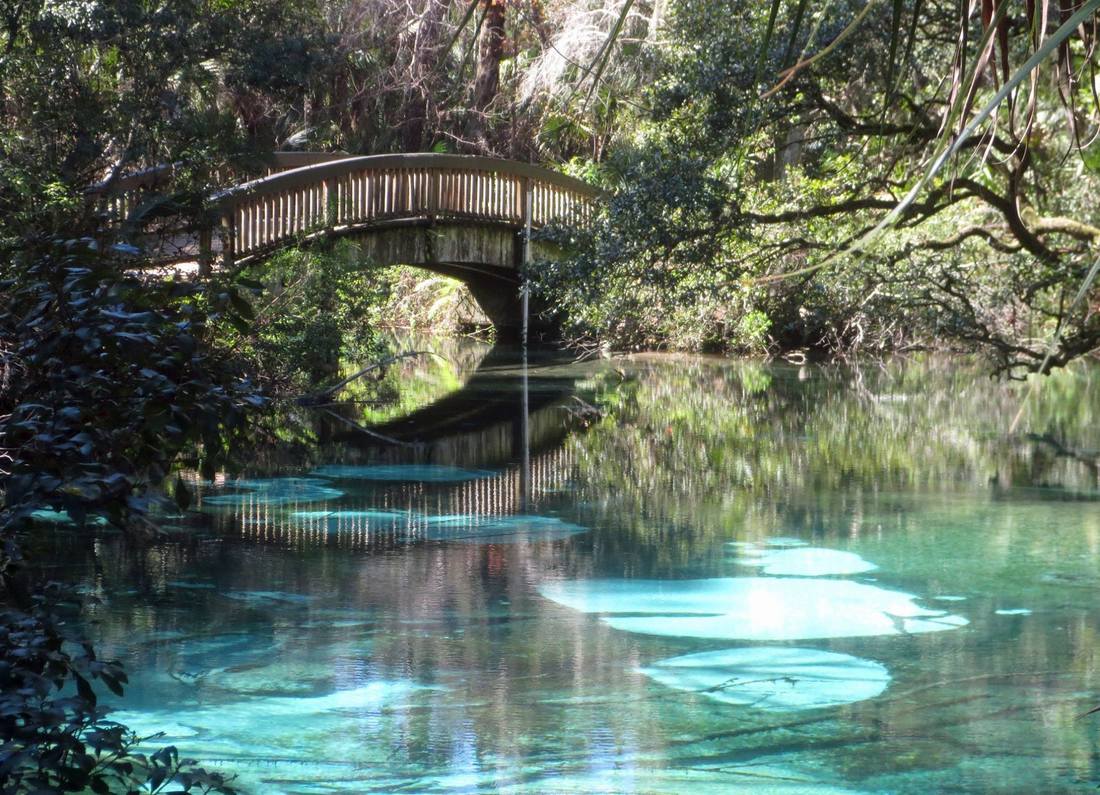 Juniper Springs Wallpapers - Wallpaper Cave
