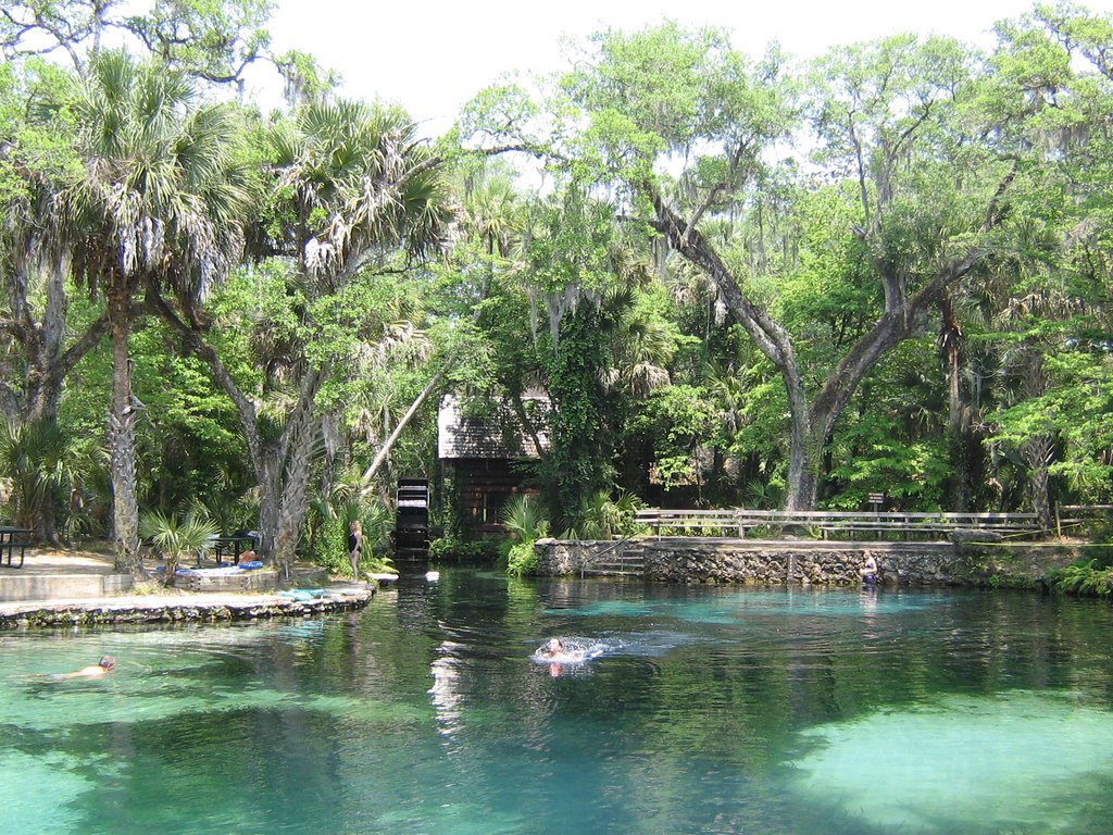 Juniper Springs Wallpapers Wallpaper Cave