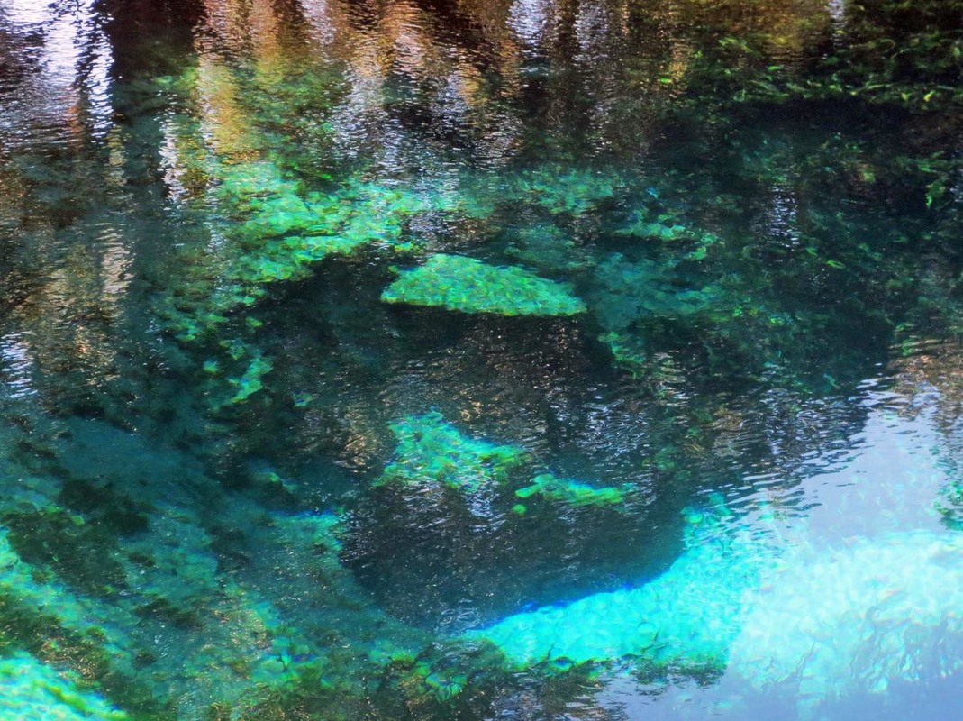 Juniper Springs Wallpapers - Wallpaper Cave