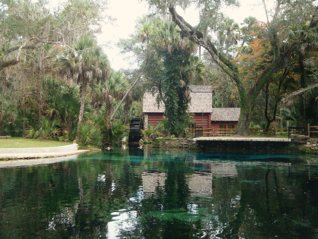 Juniper Springs Wallpapers - Wallpaper Cave