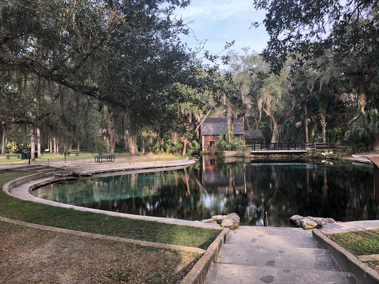 Juniper Springs Wallpapers - Wallpaper Cave