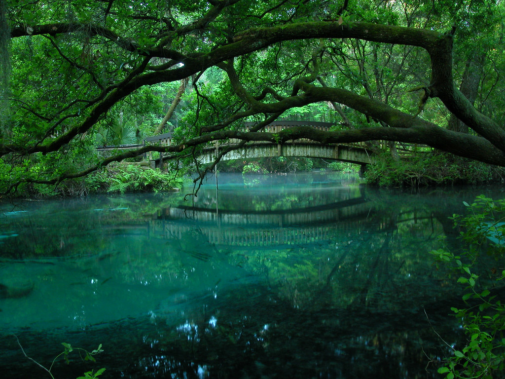 Juniper Springs Wallpapers - Wallpaper Cave