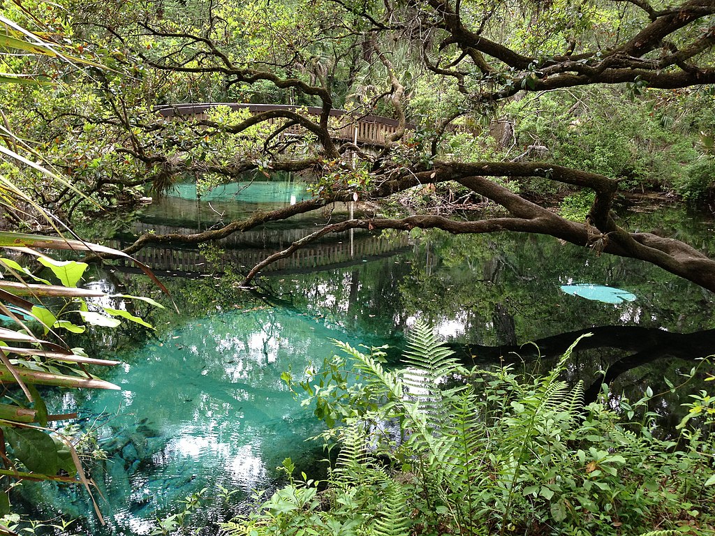 Juniper Springs Wallpapers - Wallpaper Cave