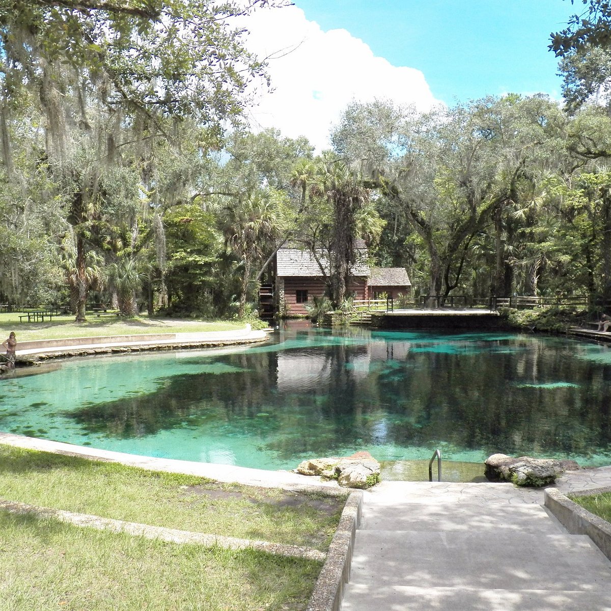 Juniper Springs Wallpapers - Wallpaper Cave