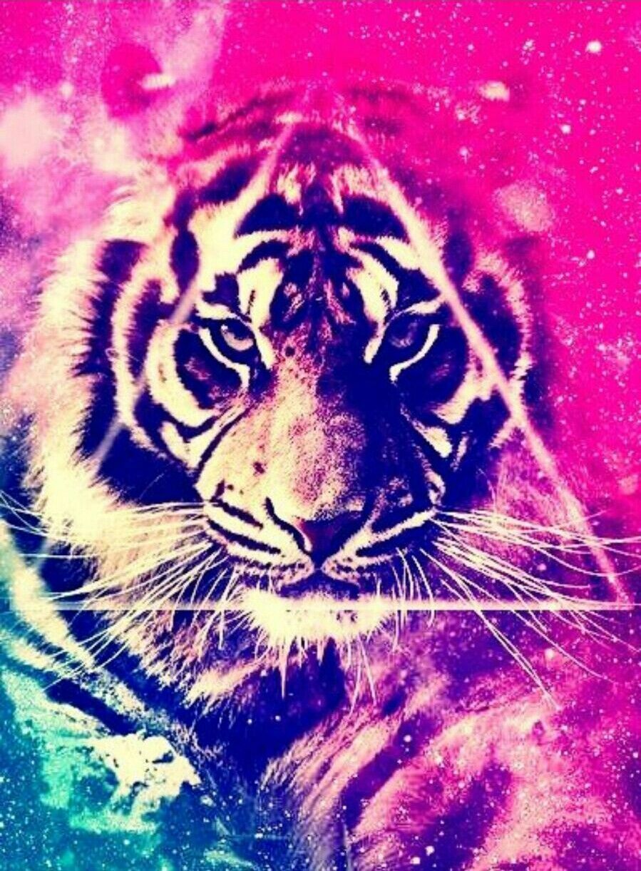 Galaxy Tiger Wallpaper