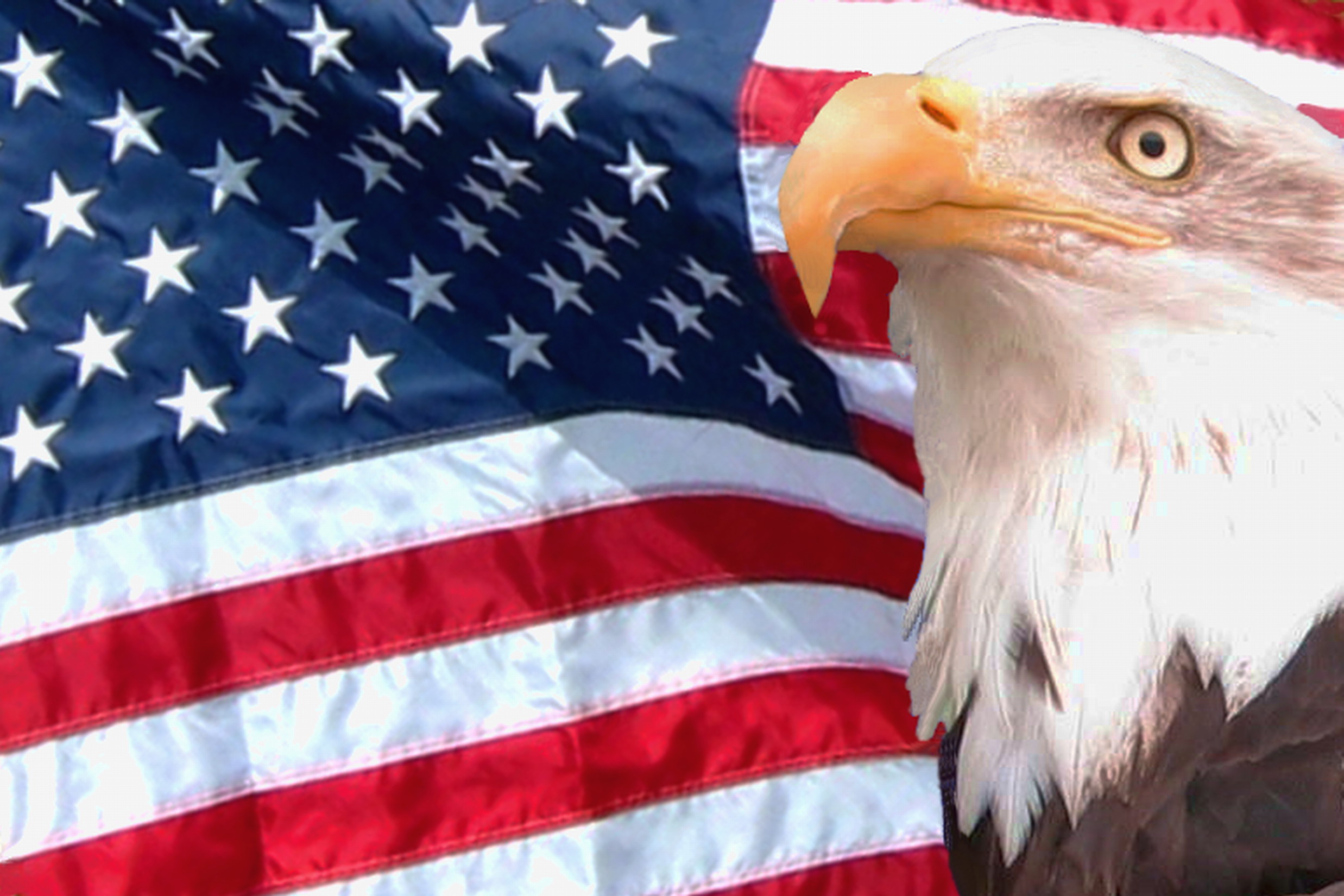 Desktop Picture American Eagle With Flags