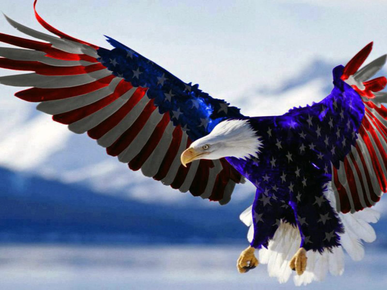 Bald Eagle American Flag HD Wallpaper For Mobile Phones Tablet And Pc 2560x1600, Wallpaper13.com