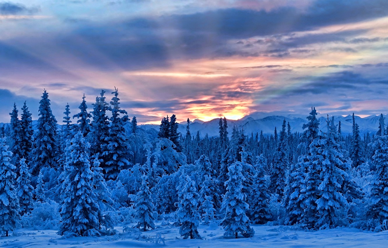 Wallpaper winter, snow, trees, mountains, Alaska, Alaska image for desktop, section пейзажи